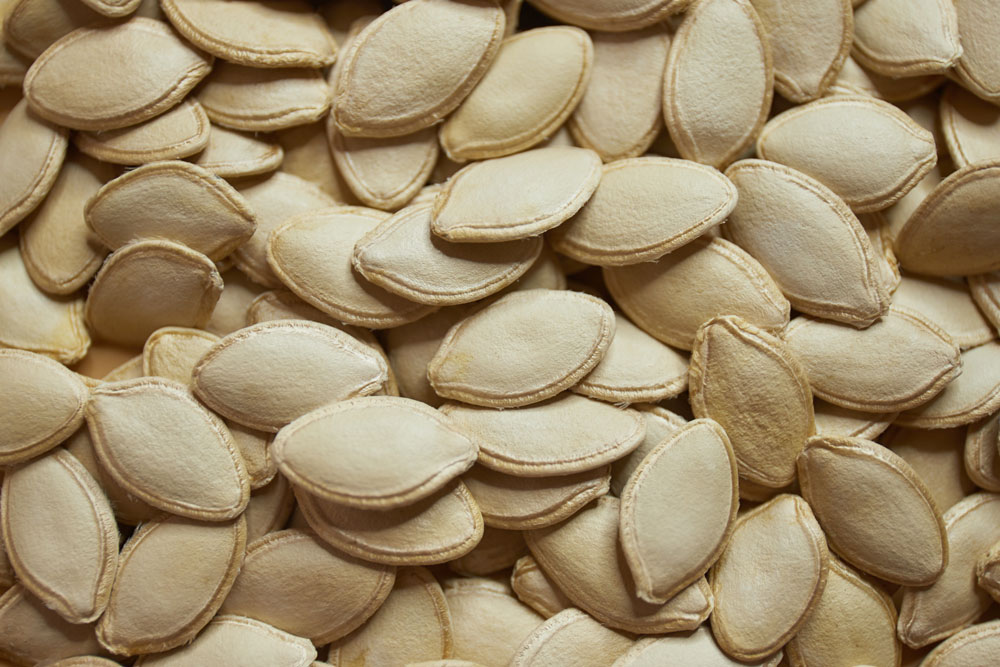 Gourd seed